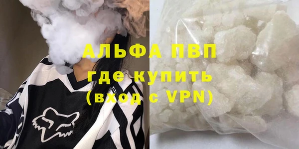 спиды Арсеньев